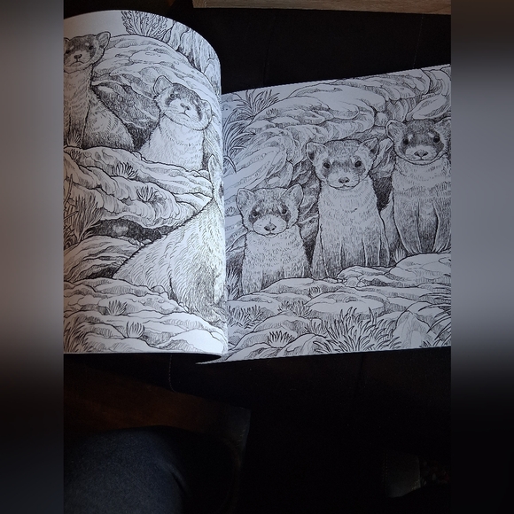 Fragile World Advanced Coloring Book For Adults, With Colored Pencils - Picture 4 of 8